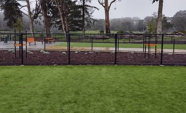 Golden Gate Park Dog Play Area 2 photo 1